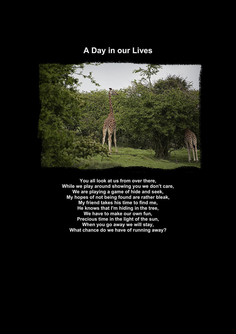 A Day in our Lives-1