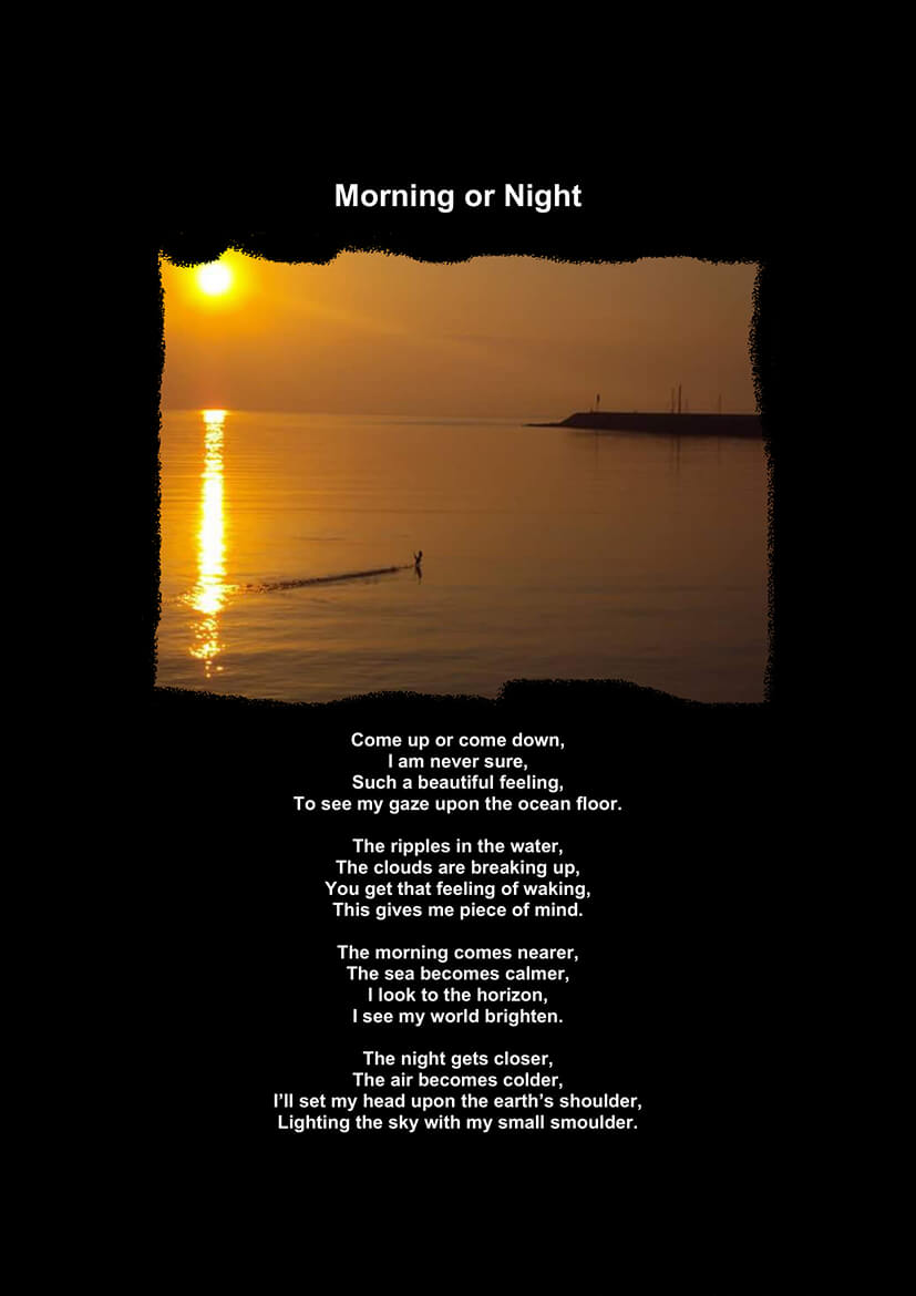 Morning or Night-1